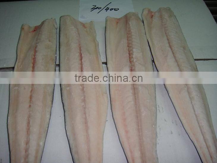 Frozen Spanish Mackerel Fillet