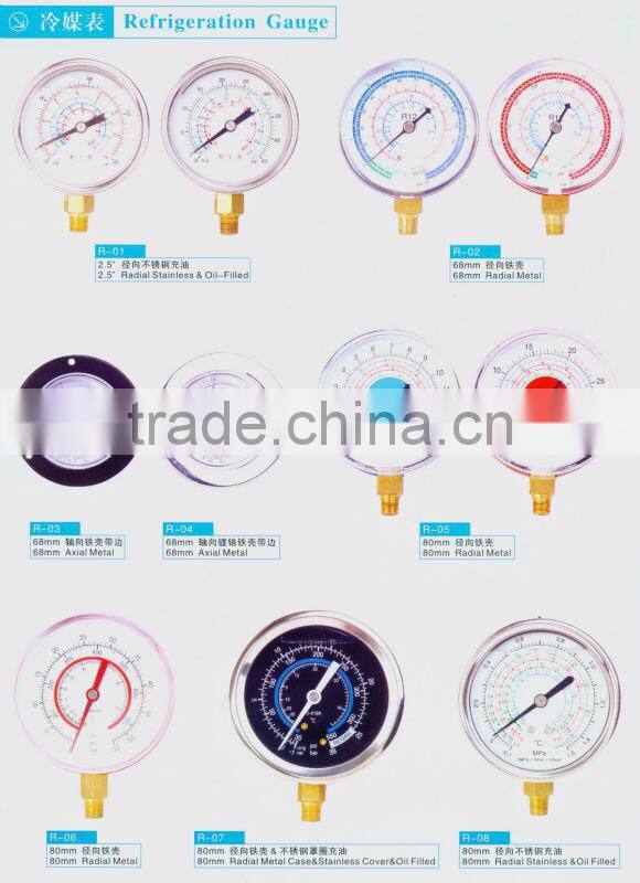 Plastic Pressure Gauge