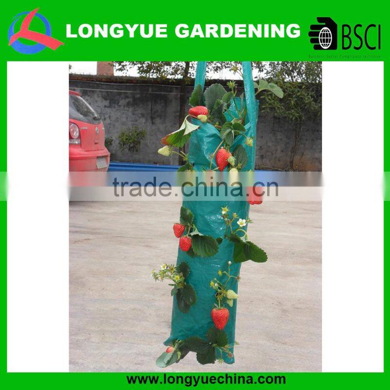hanging strawberry growing bags