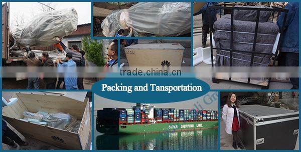 Lisaurus-G hot sell small size replica dinosaur fossil from China