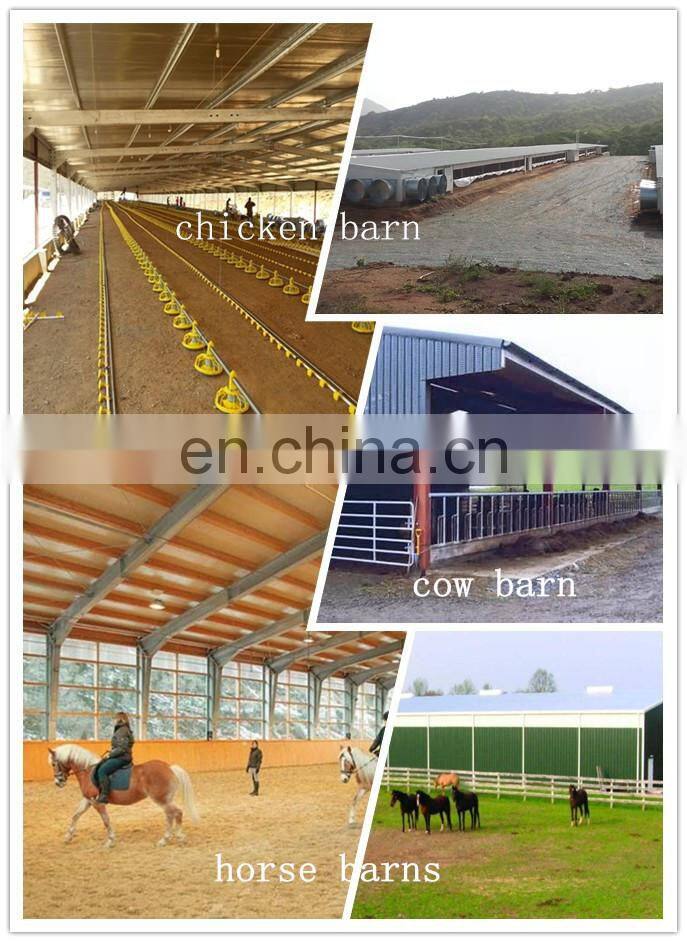Prefabricated Steel Structure Architectural Drawings Building