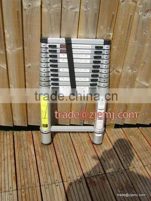 Telescopic ladder 3.8m (12.5ft)