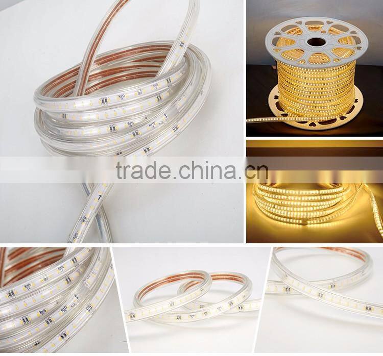 Hot in USA led flexible strip 3014 100m led strip 5630