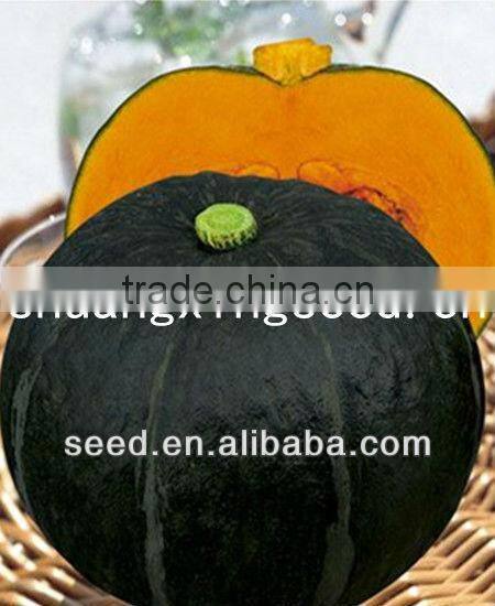 HeiBao3 good flavor high resistance hybrid f1 cushaw seeds