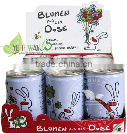 Flowers in tin cans