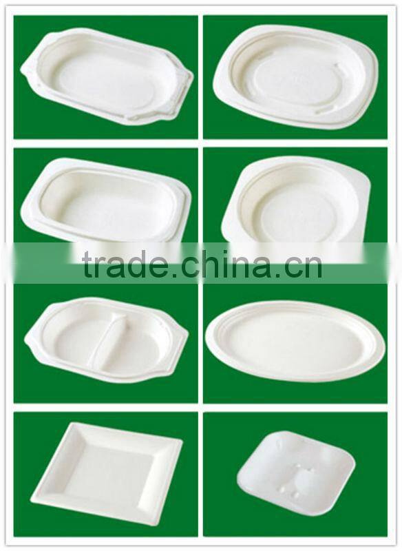 Biodegradable Disposable Sugarcane Pulp Square Plate