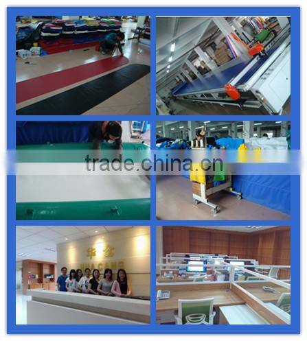 China inflatable christmas bouncer ,inflatable spiderman bouncer castle