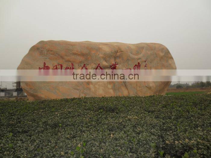 China manufacturer silicon carbide/SIC used for steelmaking