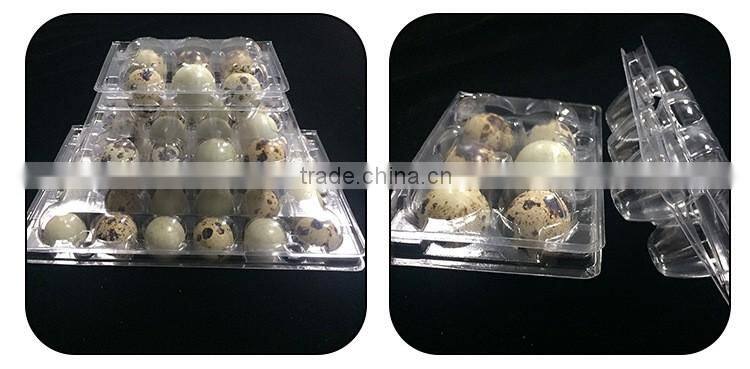 Plastic quail tray quail egg packaging quail egg cartons for sale