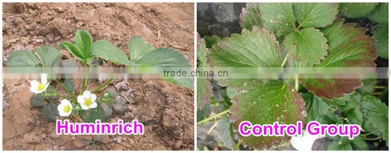 Huminrich 100% Water Soluble Organic Potassium Humate Best Fertilizer For Strawberry