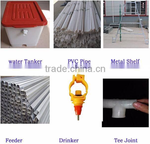 popular selling layer cage chicken cage layer cages for sale