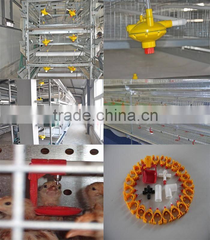 Chicken farm south africa egg layer cages