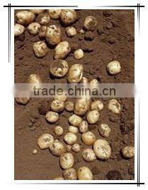 potato harvester/tractor potato harvester/small potato harvester