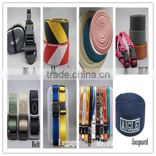 Whoelsale factory sale polyester strap webbing