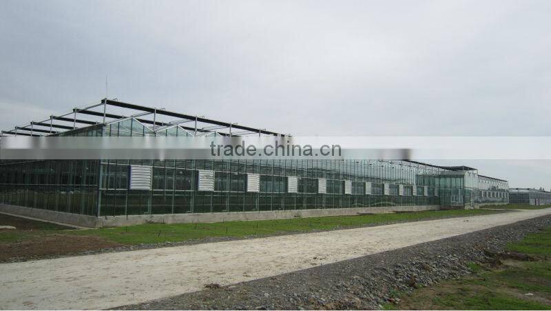 multi span commercial glass greenhouse greenhouse