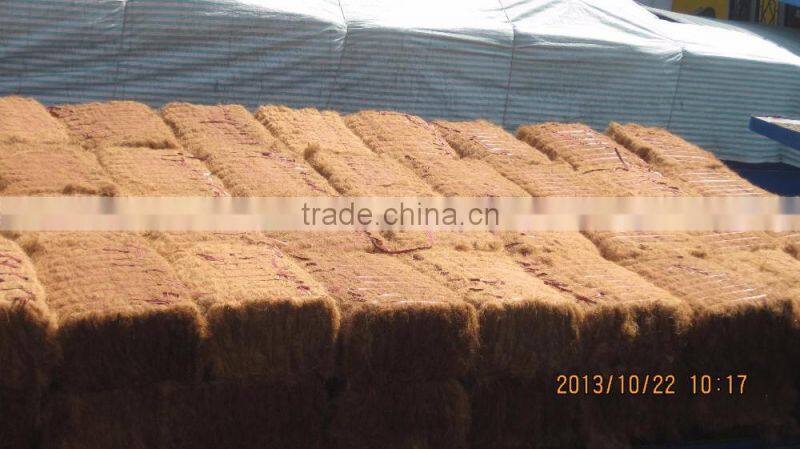 Coconut Fiber 2016 _ QQ : 2598494113