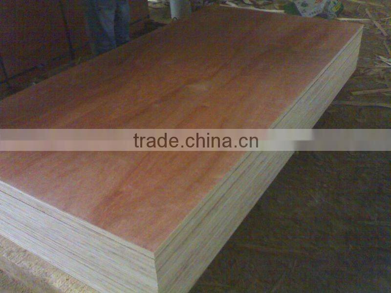 1220x2440mm best quality plywood sheet