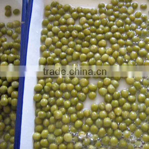 Wholesale high quality canned green peas