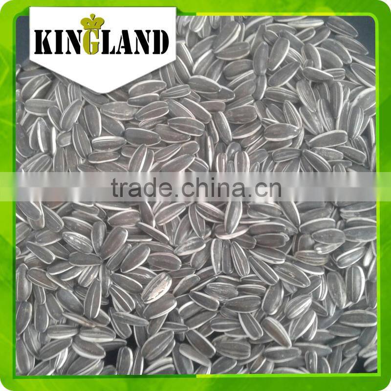 Best Quality Indian Sunflower Seeds for OIl