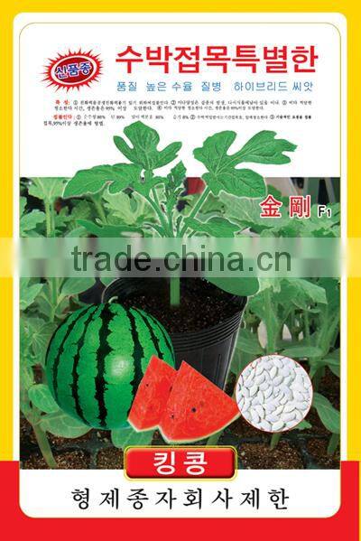 Hybrid F1 Roots Stock Seeds for grafting