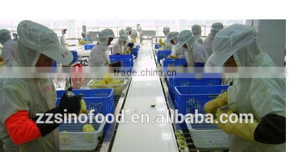 Canned Food Tin Canned Fruit Cocktail in Light Syrup