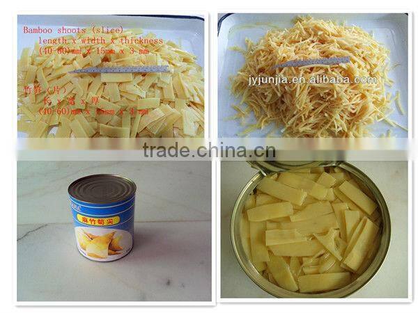 bamboo shoot in water