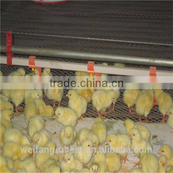 poultry drinkers for chickens