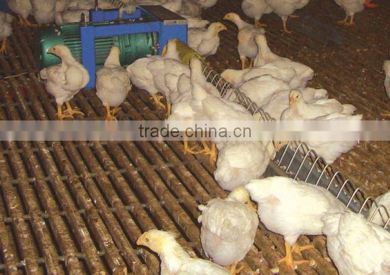 poultry farming Breeder chain feeding System new design