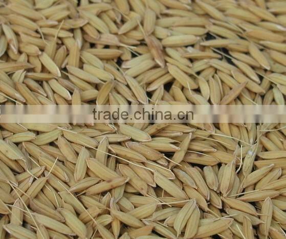 Dual functional rice flour grinding machine