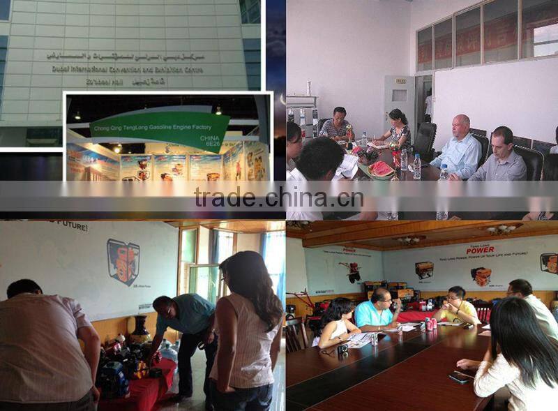 Ce/Iso Certificate Low Fuel Consumption Mini Rotary Gasoline Tiller Cultivator In India