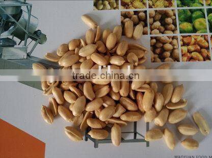 Roasted and salted peanut production line with CE certification