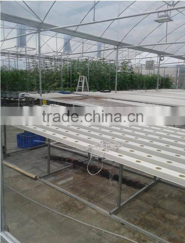 high-tech Greenhouses and Hydroponic Systems