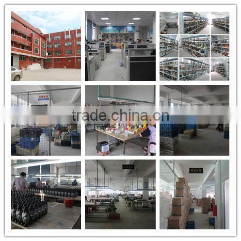 Snow Globe With The Magnet,Fridge Magnet For Tourist Souvenirs,OEM Fridge Magnet Plastic Photo Snow Globe