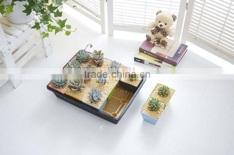Durable 12 Cells Hole Nursery Pots Plant Seeds Grow Box Tray Insert Propagation Seeding Case Flower pot plug plant trays