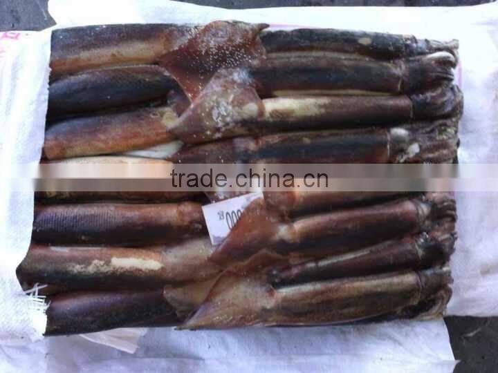 200-300g Frozen Illex Squid/Argentina