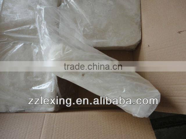 frozen giant squid fillet