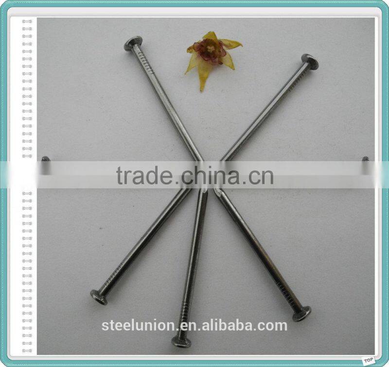 2.5" Polished Nail/Common Nail/Wire Nail