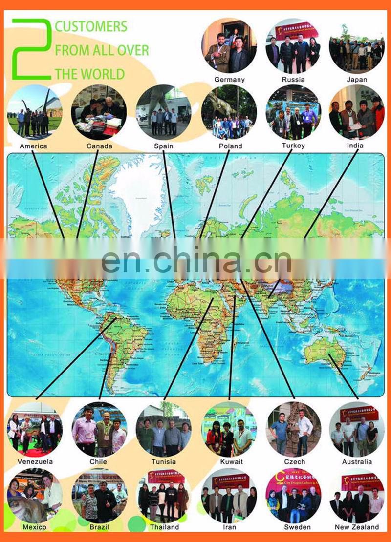 growing dinosaur egg toy