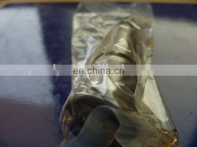 fuel pump plunger/element