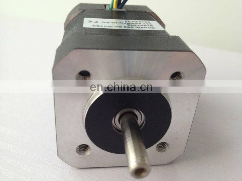 42BLS02 brushless dc motor rated 24v 4000rpm 0.125Nm 50w
