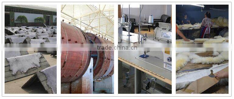 2015 Winter New Combed Sheep Wool