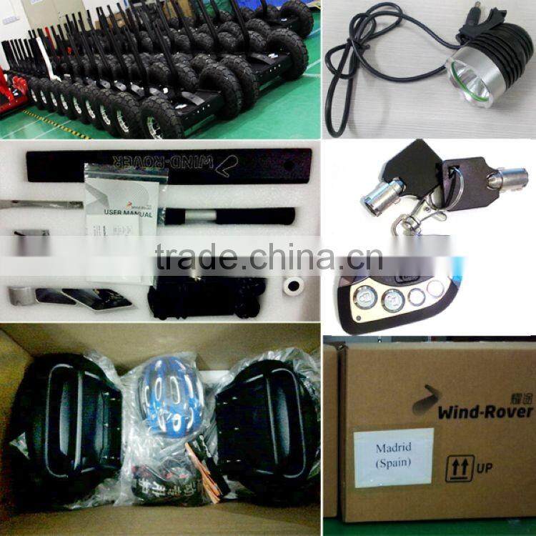 Wind Rover 4000W brushless motor big wheel smart balance electric scooter