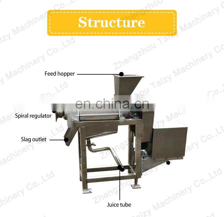 Electric Calamansi Apple Juicer Fruit Juice Extractor Lemon Juicer Machine