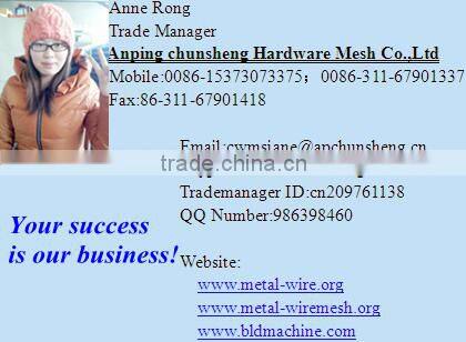 Q195 Galvanized steel wire