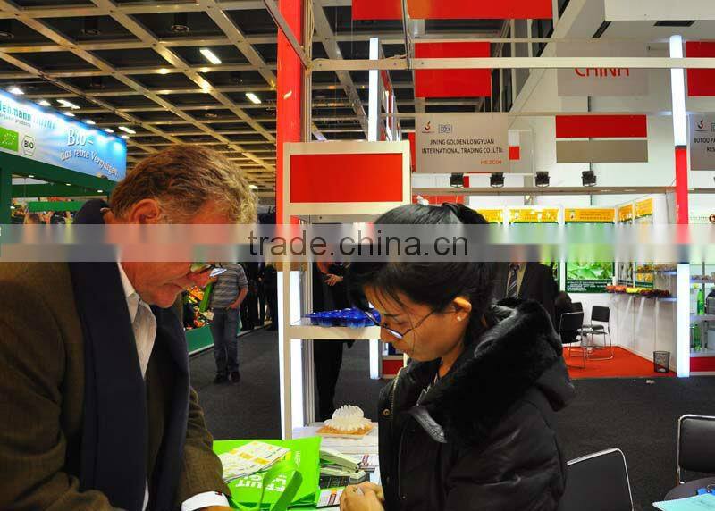 seed germination tray