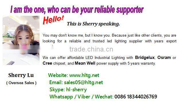 2015 30W COB LED Flood Light Outdoor with Mean Well driver 5 years warranty