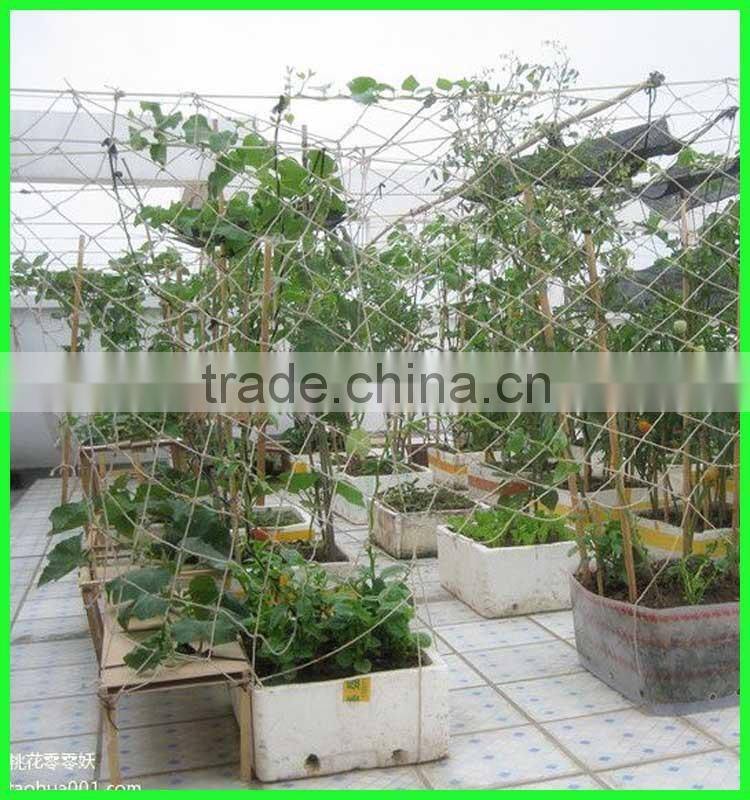 pure HDPE climbing plant supporting net