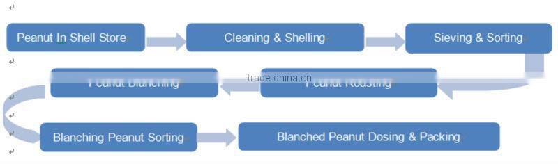 Advanced Peanut Blancher, Hazelnut Blancher, Roasted Whole Peanut Blancher, Continuous Blancher, Food Processing Equipment 1TPH