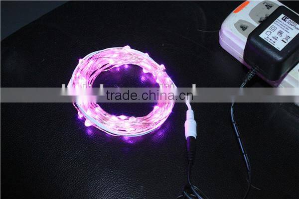AC Adapter powered waterproof led string lights