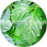 Natural fast slimming tea easy slim tea benefit slimming tea green tea fat burner